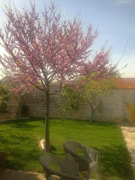 Masseria Del Crocifisso Villa Polignano a Mare Bagian luar foto